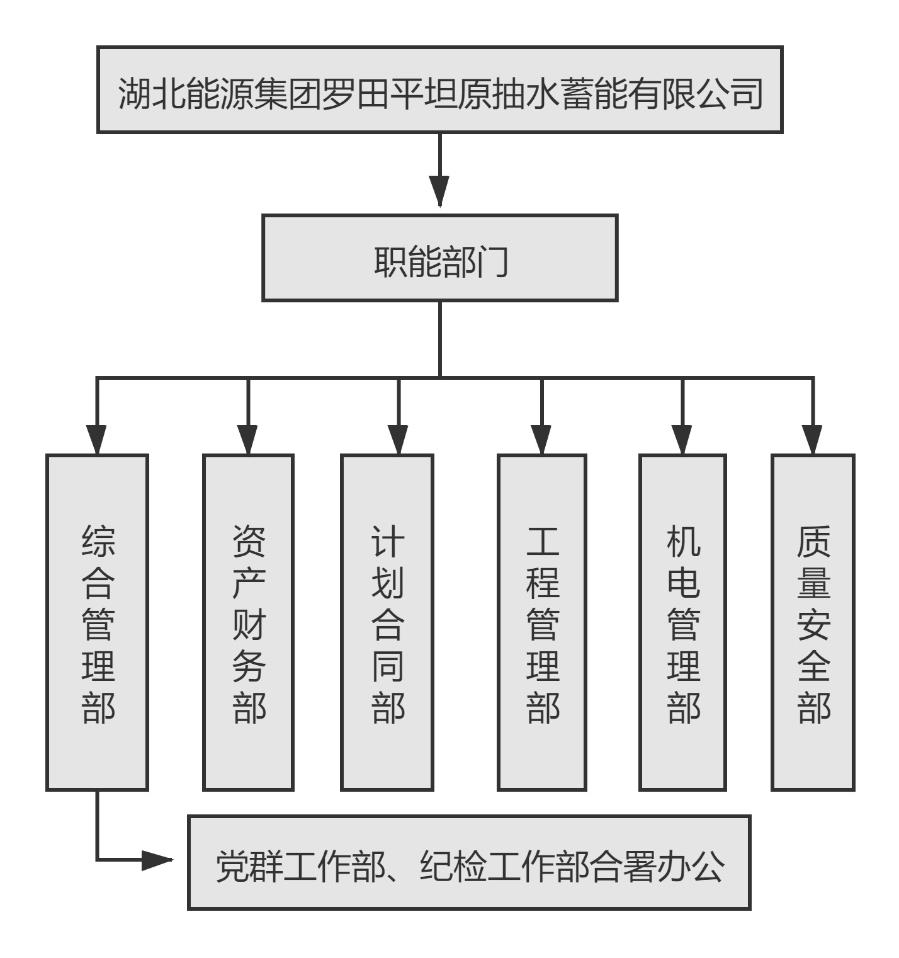 湖北能源集團(tuán)羅田平坦原抽水蓄能有限公司組織機(jī)構(gòu)